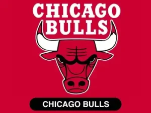 Escudo Chicago Bulls